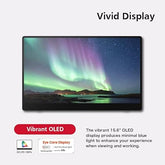 RICOH 150BW: Portable OLED Display (Touchscreen, Wireless, Battery)